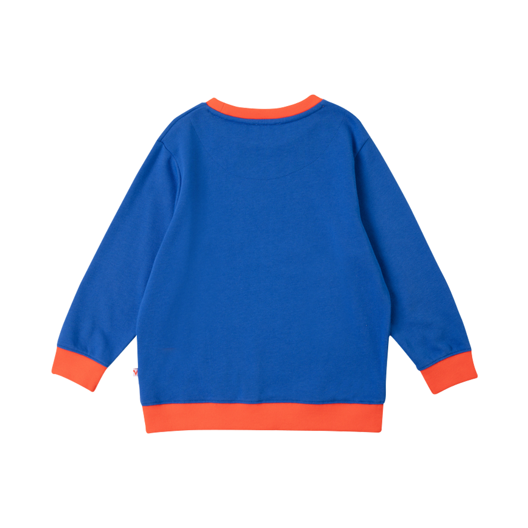 VAUVA Vauva Boys Raccoon Marvelous Sweatshirt - Blue Sweatshirts