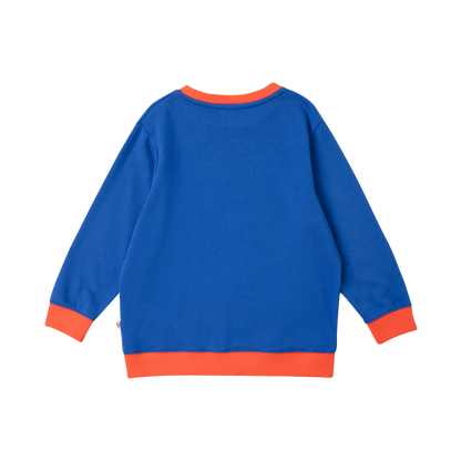 VAUVA Vauva Boys Raccoon Marvelous Sweatshirt - Blue Sweatshirts