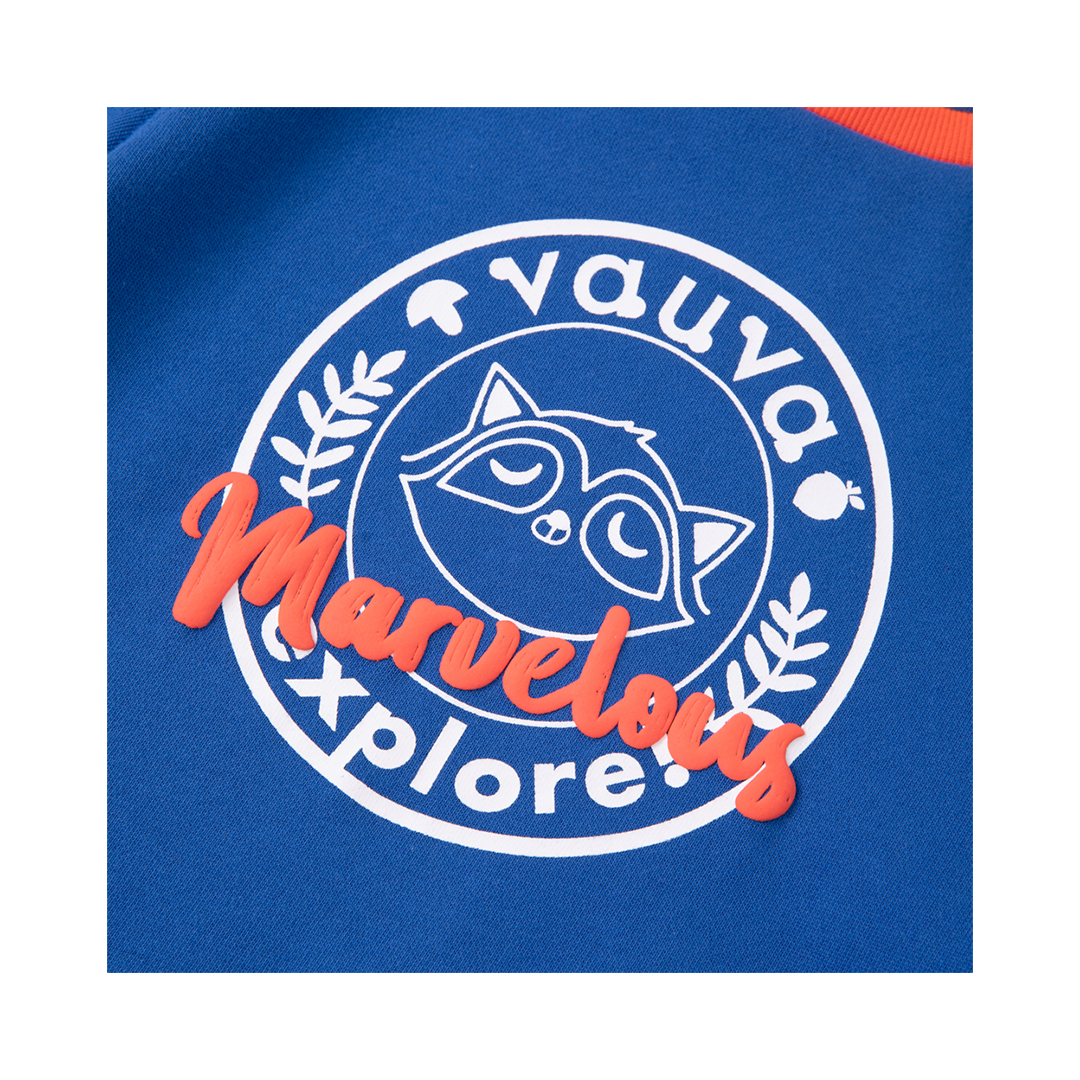 VAUVA Vauva Boys Raccoon Marvelous Sweatshirt - Blue Sweatshirts