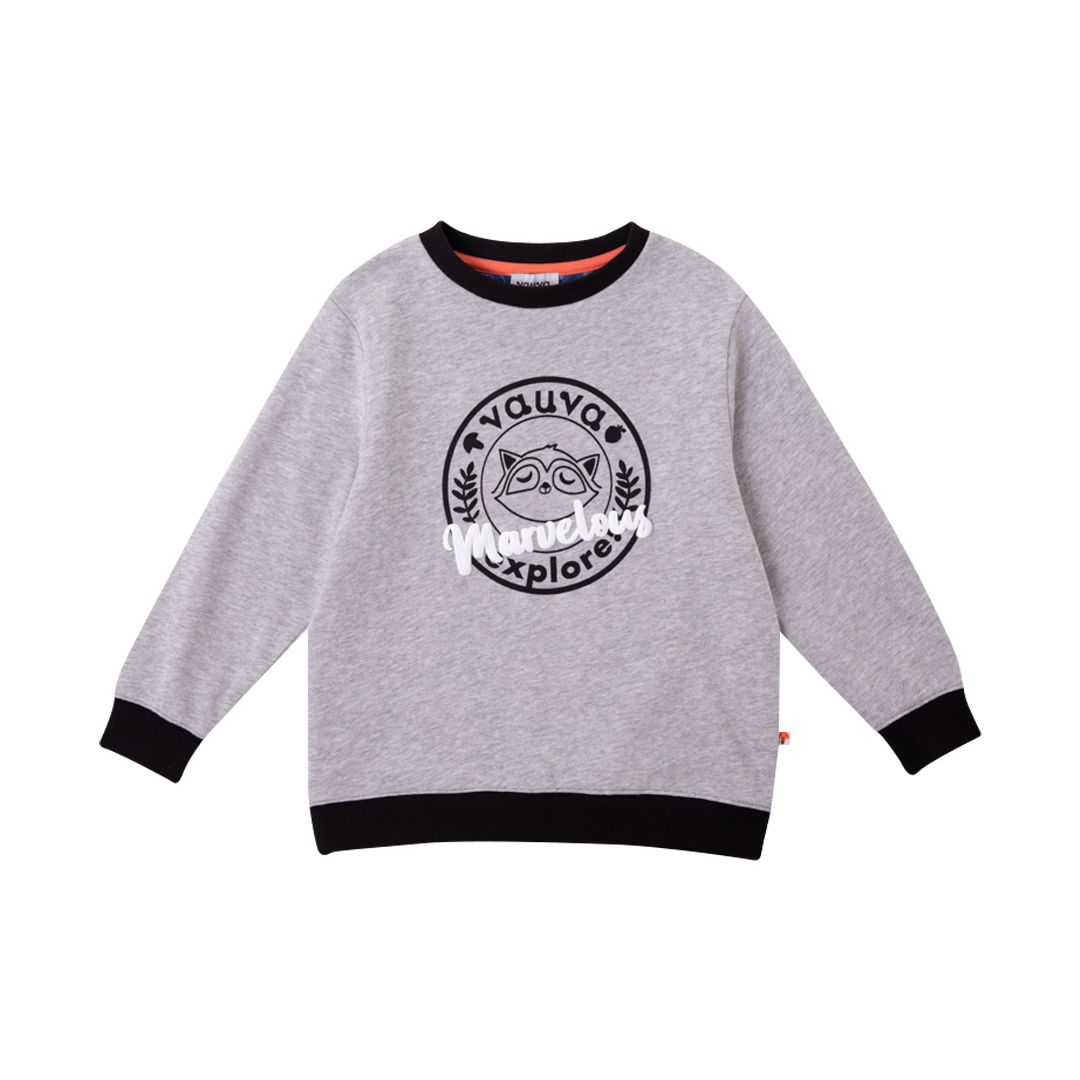 VAUVA Vauva Boys Raccoon Marvelous Sweatshirt - Grey Sweatshirts