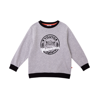 VAUVA Vauva Boys Raccoon Marvelous Sweatshirt - Grey Sweatshirts