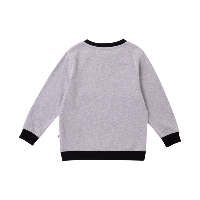 Vauva Boys Raccoon Marvelous Sweatshirt - Grey