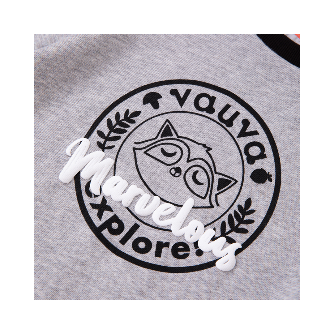 VAUVA Vauva Boys Raccoon Marvelous Sweatshirt - Grey Sweatshirts