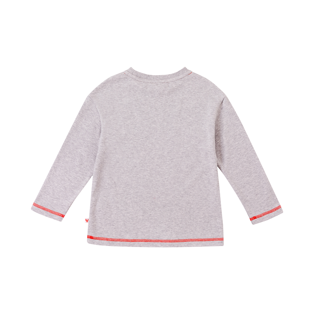 VAUVA Vauva Boys Raccoon Play All Day Long Sleeves Tee - Grey Tops