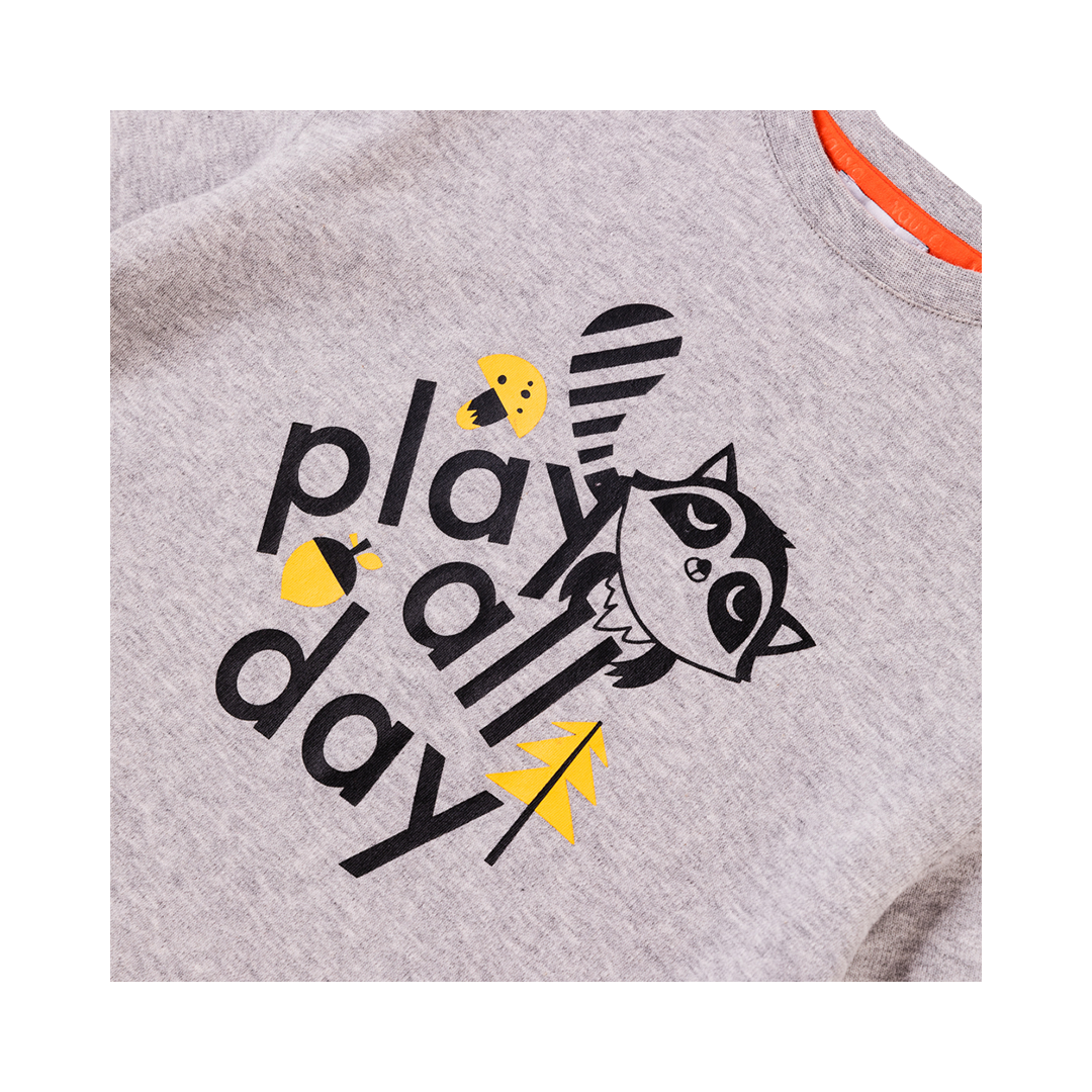 VAUVA Vauva Boys Raccoon Play All Day Long Sleeves Tee - Grey Tops