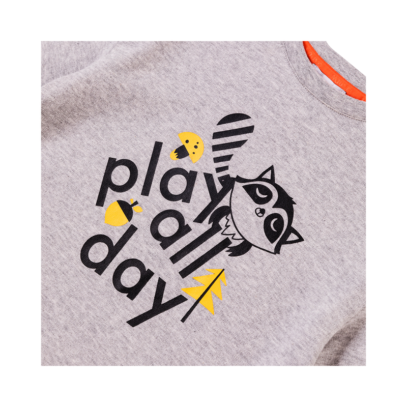 Vauva Boys Raccoon Play All Day Long Sleeves Tee - Grey