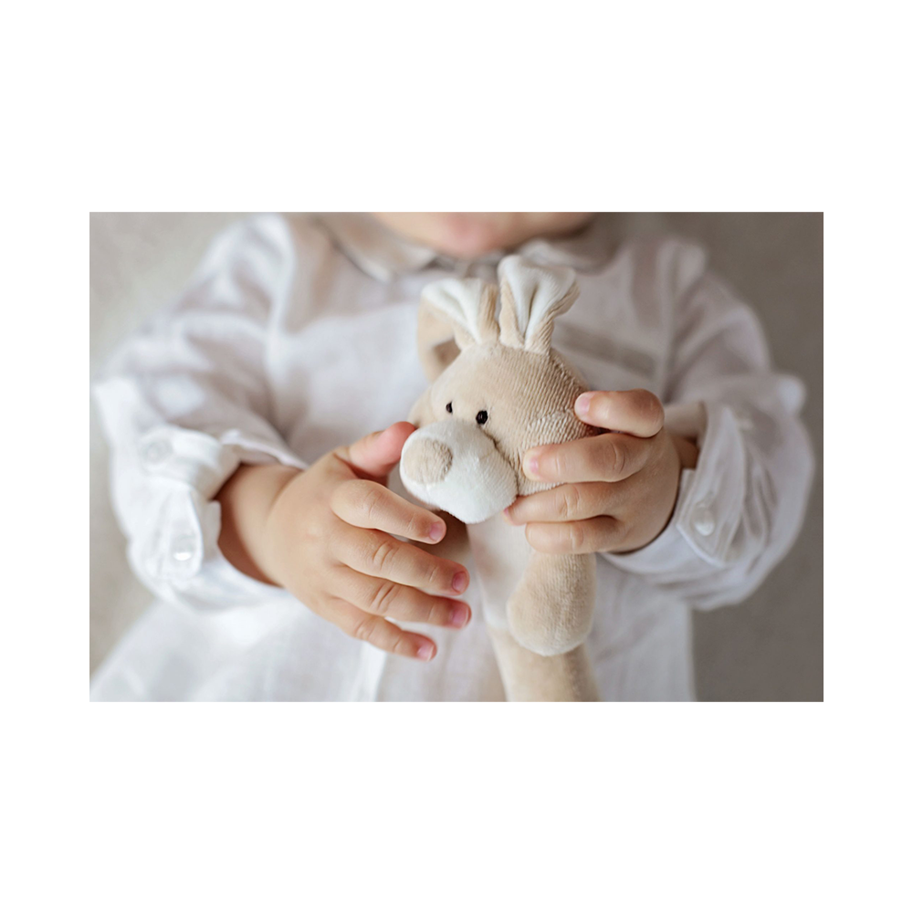 Wooly Organic Wooly Organic Rattle - Bunny Soft toys