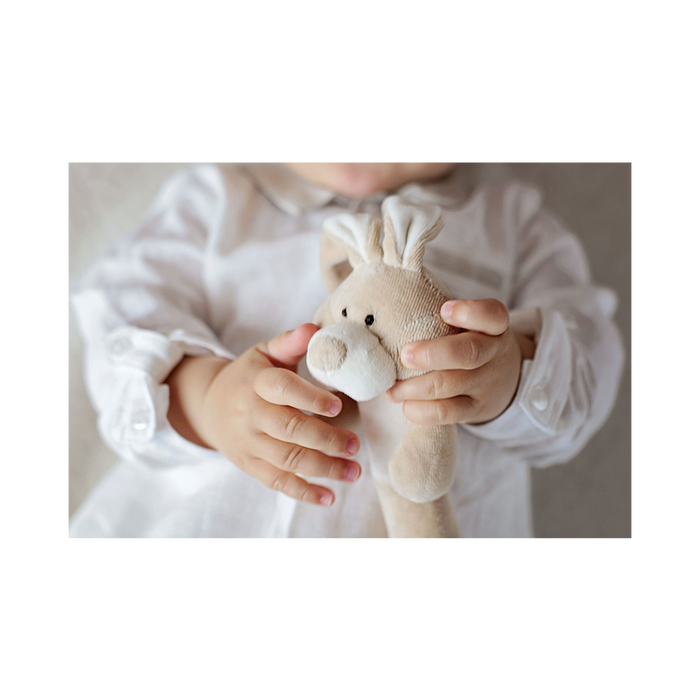 Wooly Organic Wooly Organic Rattle - Bunny Soft toys