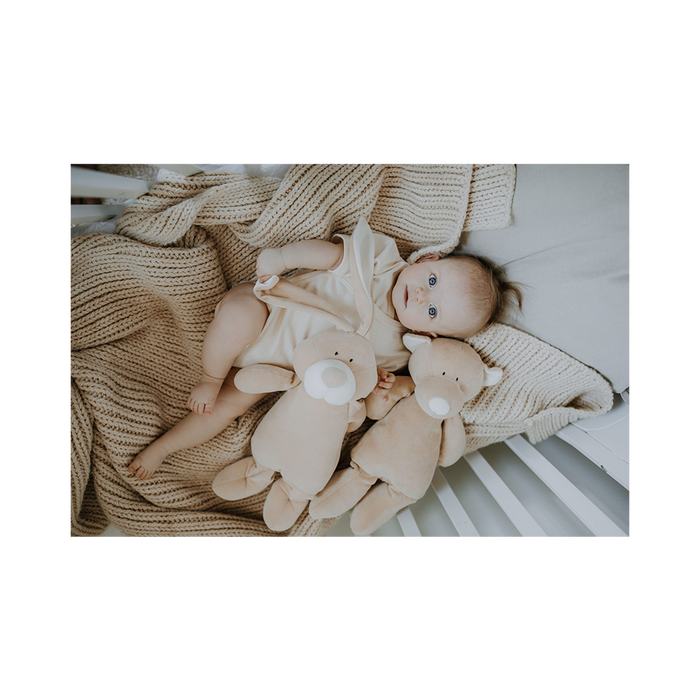 Wooly Organic Soft toy - Teddy - My Little Korner
