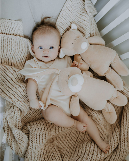 Wooly Organic Wooly Organic Soft toy - Teddy Soft toys